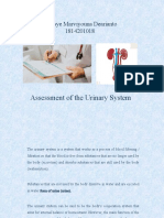 Assessment of The Urinary System: Chelsye Marviyouna Dearianto 1814201018