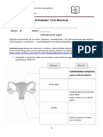 Actividad Ciclo Menstrual 8 A 8 B Biología