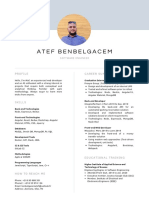 Atef Benbelgacem: Career Summary Profile