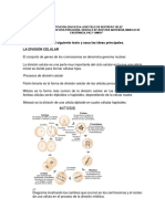 Taller de Mitosis y Meiosis Grado 8° 4° Periodo 2017 PDF