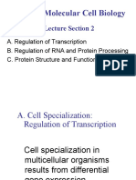 121 Lecture Section 2