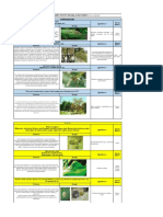 Tarea 4. Identificacion de Plagas y Enfermedades Citricos (Lima Acida Tahiti)