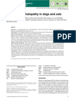 Hepatic Encephalopathy in Dogs and Cats: State of The Art Review