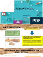 Via Endovenosa