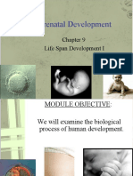 Prenatal Development