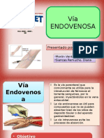 Via Endovenosa