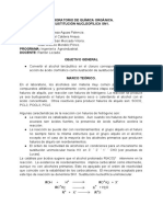 Informe-Sustitución Nucleofílica SN1