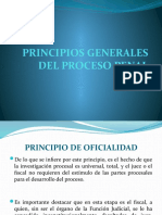 Principios Del Proceso Penal Coip 2018