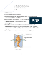 Introduction To The Anatomy,: Sagittal Plane