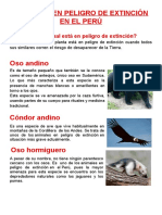 Animales en Peligro de Extinción