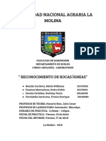 Informe 3 Geologia - Rocas Igneas