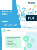 Possessiv-Artikel: Grammatik