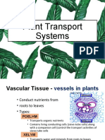 Plant Transport Systems