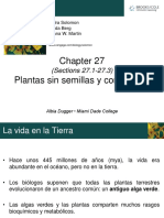 4 Plantae