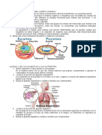 Respuestas A La Preguntas de Biologia 3º Eso Monjas