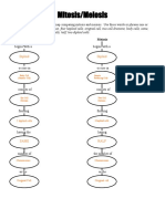 Chromosome Number Worksheet Meiosis Mitosis