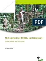 REDD Cameroon