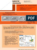 Cyclospora Cayetanensis PDF