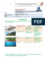 TAREA CCNN 15-12-2020 Valerin Luligo