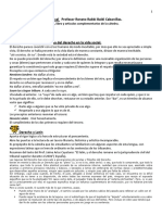 Resumen de Introduccin Al Derecho 1 Rabbi Baldi PDF