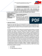 TDR para Realizar El Saneamiento Fisico Legal de 03 Iiee de La Ugel Yauli La Oroya