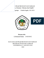 LAPORAN PRAKTIKUM BOTANI FARMASI (Amylum, Stomata, Trikoma Dan Papilla)