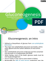 Gluconeogenesis: The Pathway and Regulation