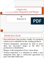 Chapter Six: Diversification, Integration and Merger: by Belaynew B