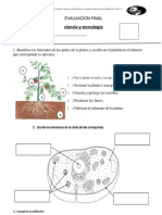 EVALUACION FINAL Ciencia y Tecnologia