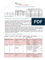 Rocas Calcareas PDF