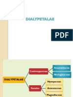 Dialytetalae (Centrospermae, Ranales)