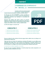 PDF FUERTAFIT - CARGAS GYM Nivel 2