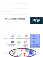 Acides Nucleiques PDF