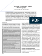 M Mode Feigenbaum PDF