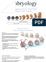 Embryogenesis (Week 4-8) & Fetal Period (Week 9-Birth)