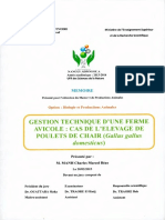 Memoire 636933599075924673 PDF