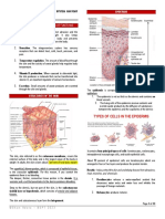 Types of Cells in The Epidermis