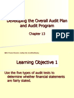 Developing The Overall Audit Plan and Audit Program