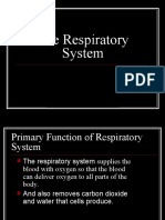 Respiratory System