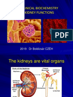 The Clinical Biochemistry of Kidney Functions: 2019 DR Boldizsár CZÉH