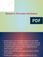 Bacaul in Perioada Interbelica