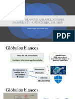 1S Glóbulos Blancos J Agranulocitosis J Granulocitos J Funciones