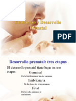 Desarrollo Prenatal