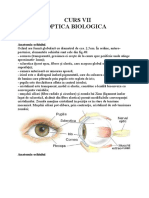 CURS V B OPTICA BIOLOGICA