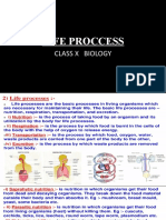 Life Proccess: Class X Biology