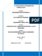 Conceptos de Condicion Insegura y Acto Inseguro