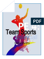 Team Sports: Volley