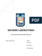 Informe Secado Final PDF