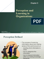 Perception and Learning in Organizations: Mcgraw-Hill/Irwin Mcshane/Von Glinow Ob 5E