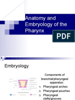 Anatomy and Embryology of The Pharynx1.pps